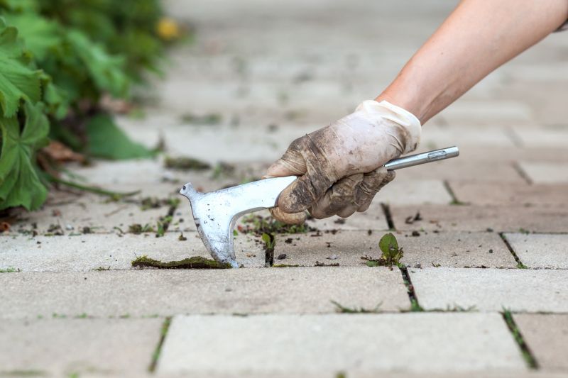 Paver Patio Repair
